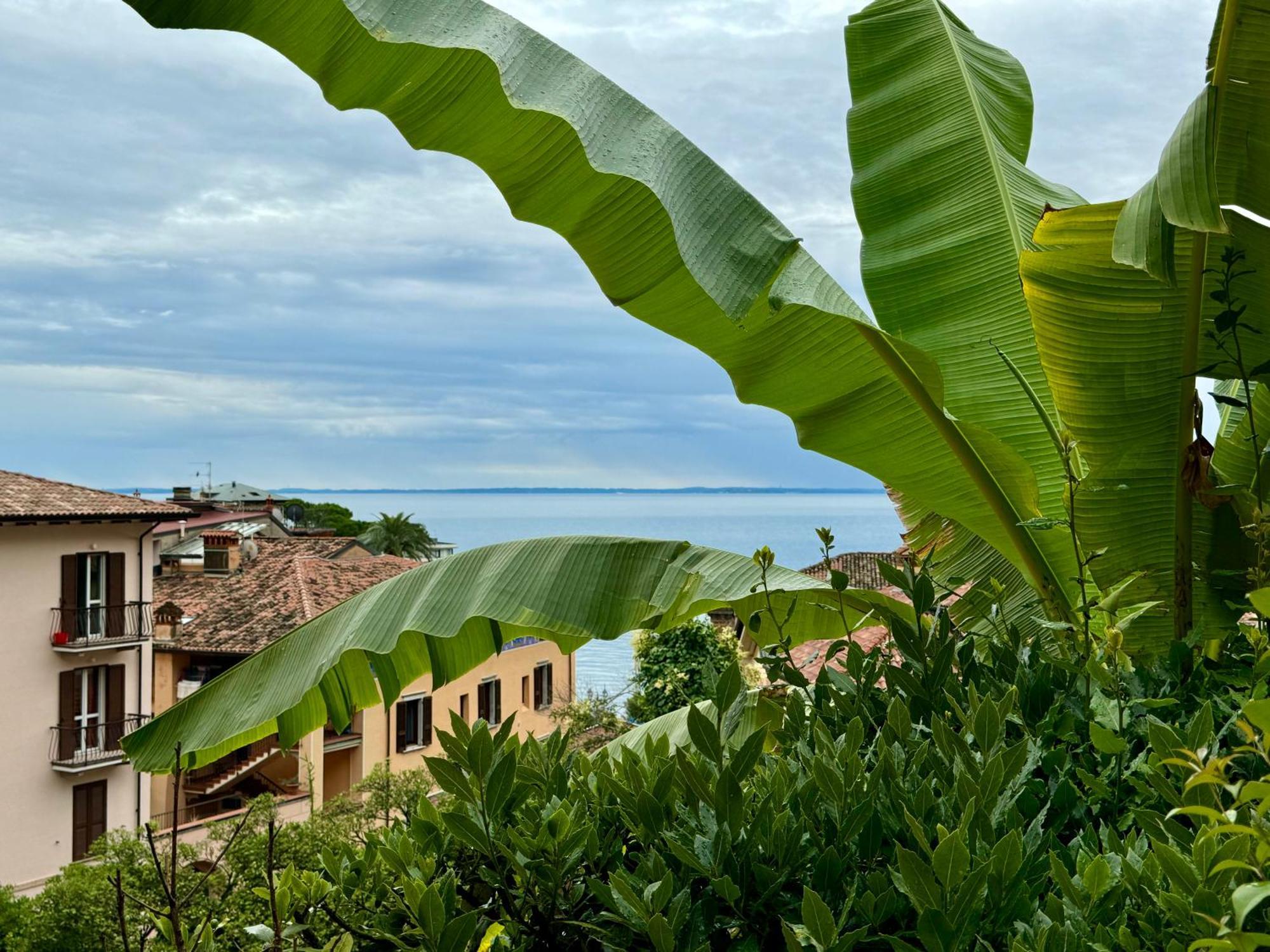 Casa Dolce Vita, Seeblick 托斯科拉诺-马德尔诺 外观 照片
